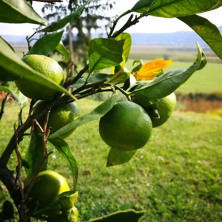 Quiet Getaway House * Sečovlje